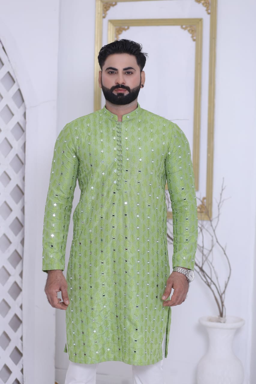 Light Green Embroidered Kurta